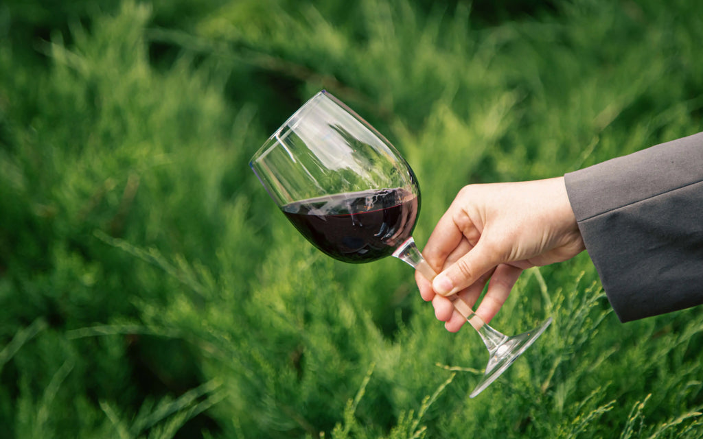 Découvrir les Vins de Bourgogne Rouges à Petit Prix