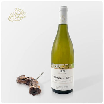 Bouteille de vins- "Les Pontots dessus" Bourgogne Chardonnay-2020